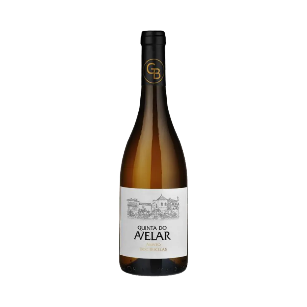 Bild von Quinta do Avelar - Weißwein