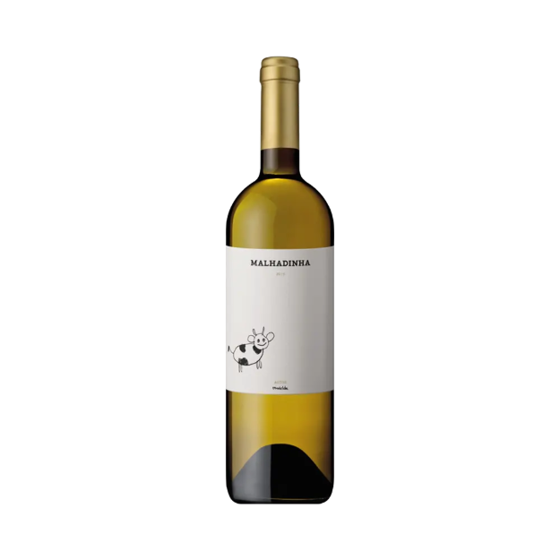 Bild von Malhadinha - Weißwein