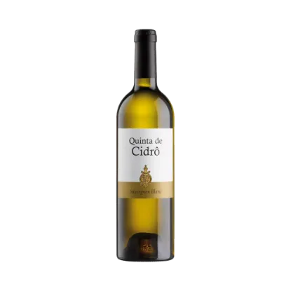 Bild von Quinta de Cidrô Sauvignon Blanc - Weißwein