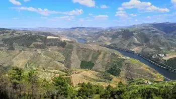 Weinregion Porto und Douro