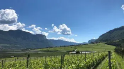 Weine aus Italien