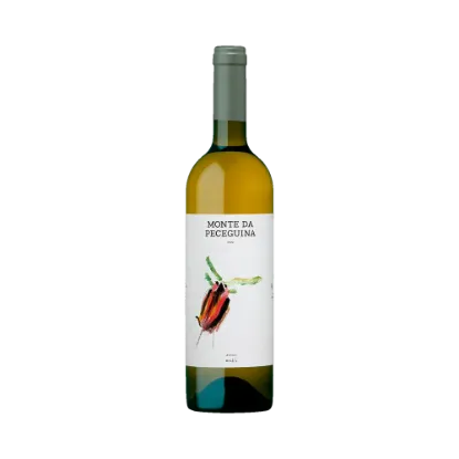 Bild von Monte da Peceguina - Weißwein