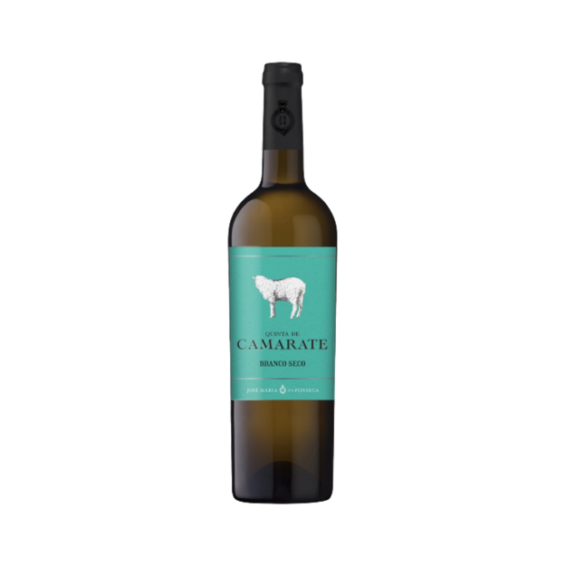 Bild von Quinta de Camarate Dry - Weißwein