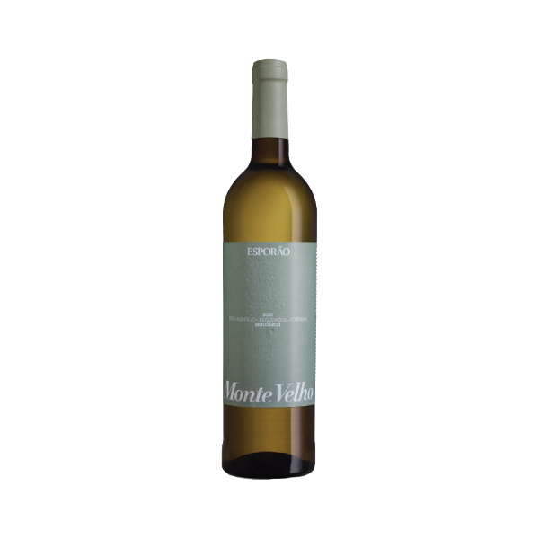 Bild von Monte Velho Biologico - Weißwein