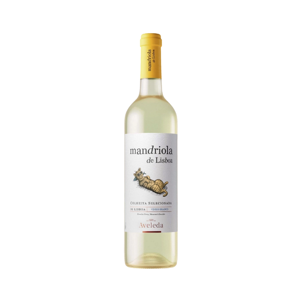 Bild von Mandriola de Lisboa - Weißwein