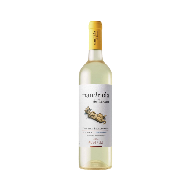Bild von Mandriola de Lisboa - Weißwein