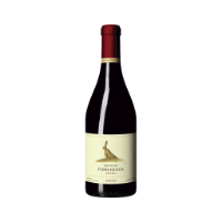 Bild von Quinta da Pedra Escrita Reserve - Rotwein