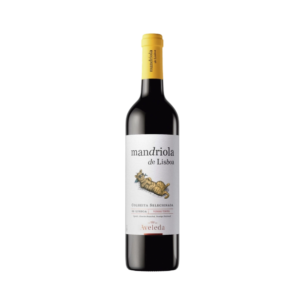 Bild von Mandriola de Lisboa - Rotwein