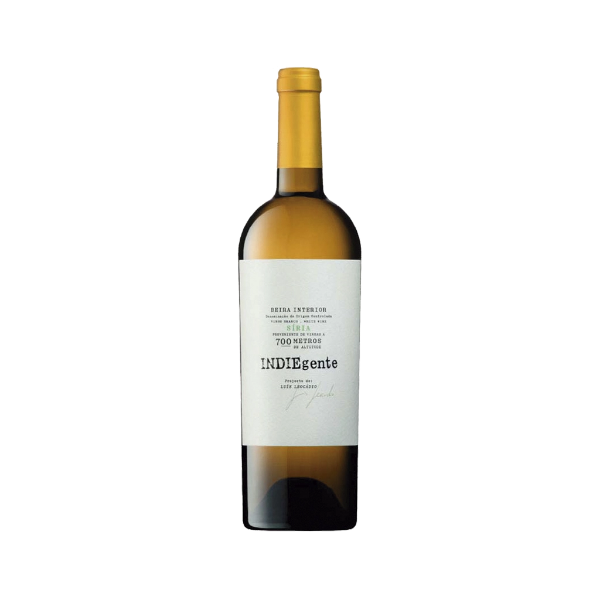 Bild von INDIEgente - Weißwein