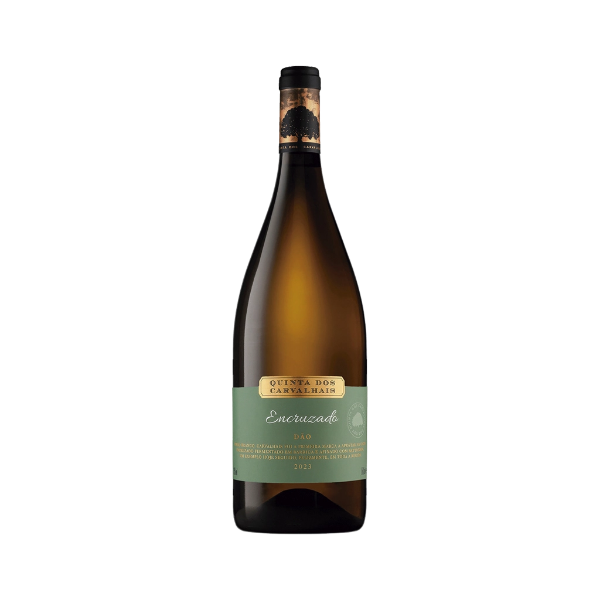 Bild von Quinta dos Carvalhais Encruzado Magnum - Weißwein