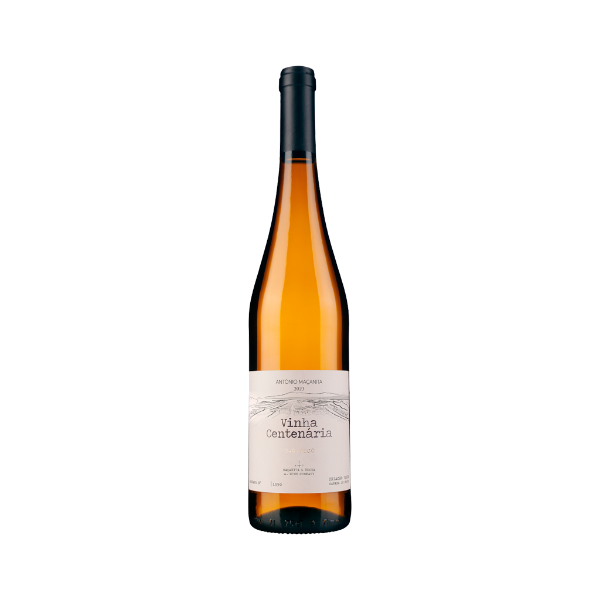 Bild von Vinha Centenária - Weißwein