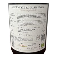 Bild von Antão Vaz da Malhadinha - Weißwein