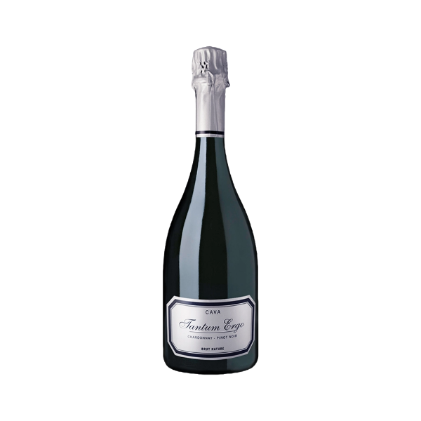 Bild von Cava Tantum Ergo Chardonnay Pinot Noir - Schaumwein