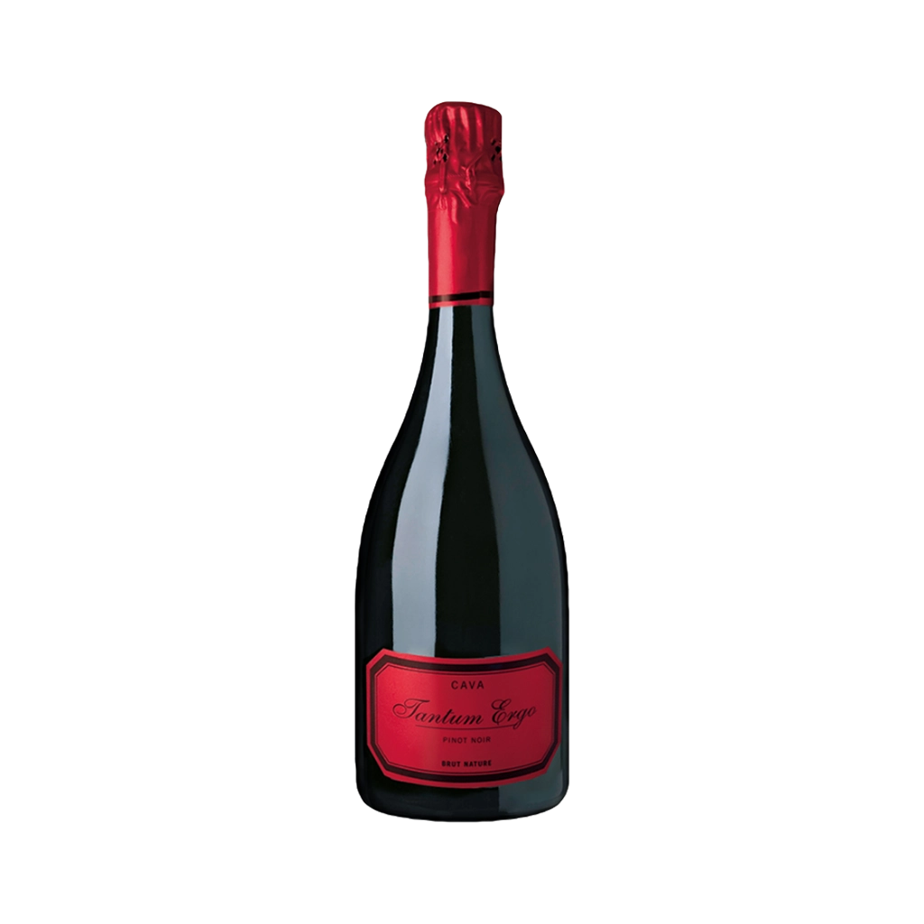 Bild von Cava Tantum Ergo Pinot Noir Rosé - Schaumwein