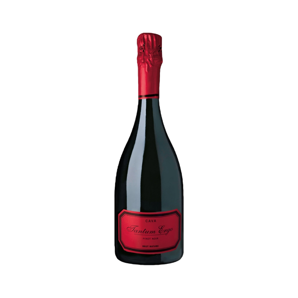 Bild von Cava Tantum Ergo Pinot Noir Rosé - Schaumwein