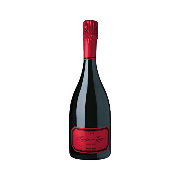 Bild von Cava Tantum Ergo Pinot Noir Rosé - Schaumwein