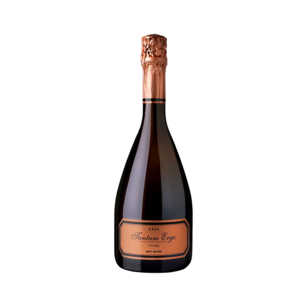 Bild von Cava Tantum Ergo Vintage - Schaumwein