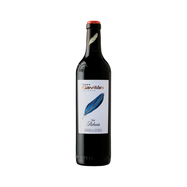 Bild von Cepa Gavilan Crianza Magnum - Rotwein