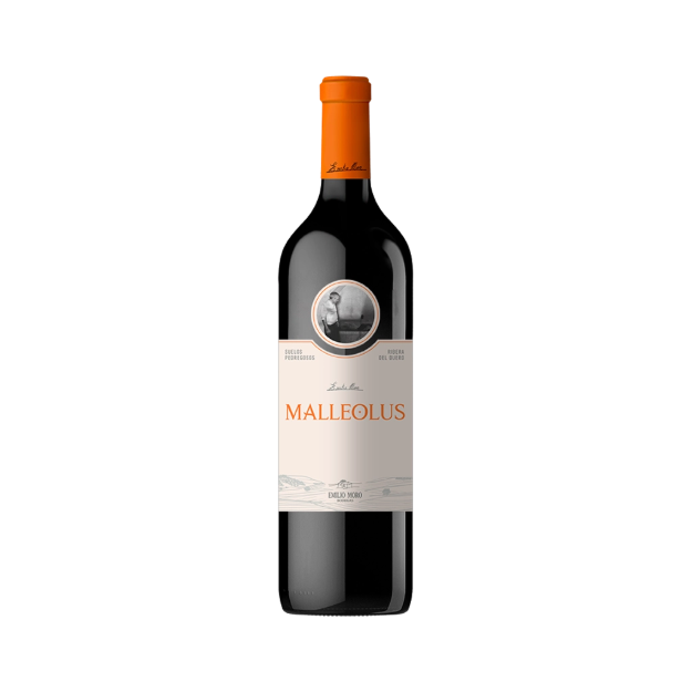 Bild von Malleolus Magnum - Rotwein