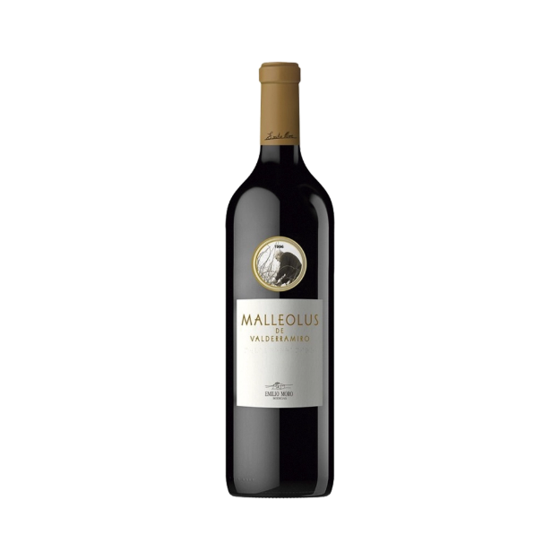 Bild von Malleolus de Valderramiro Magnum - Rotwein