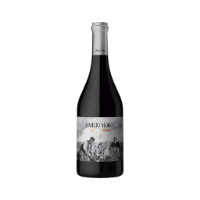 Bild von Clon de la Familia - Rotwein