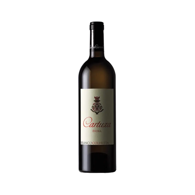 Bild von Cartuxa - Weißwein