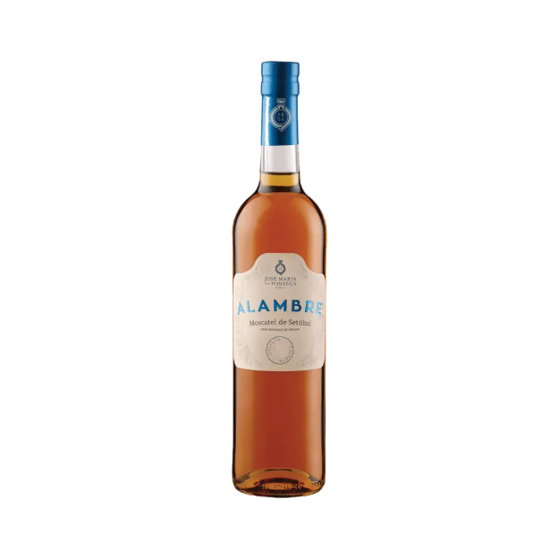 Bild von Alambre Moscatel de Setúbal - Dessertwein