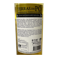 Bild von Terras do Pó - Weißwein