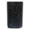 Bild von Torres Celeste Crianza - Rotwein