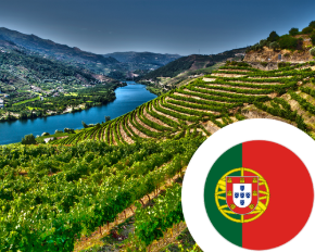 Bild für Kategorie Wein aus Portugal