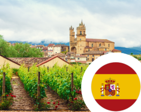 Bild für Kategorie Wein aus Spanien