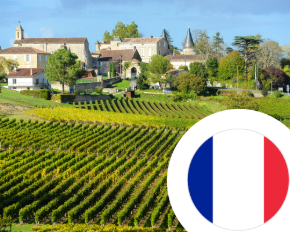 Bild für Kategorie Wein aus Frankreich