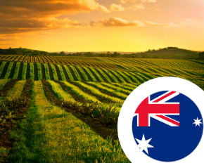 Bild für Kategorie Wein aus Australien