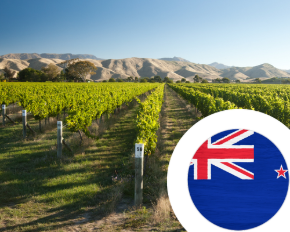 Bild für Kategorie Wein aus Neuseeland