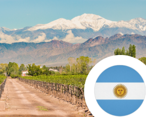 Bild für Kategorie Wein aus Argentinien