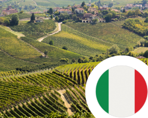 Bild für Kategorie Wein aus Italien
