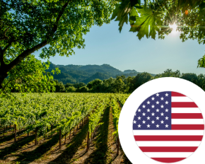 Bild für Kategorie Wein aus den USA