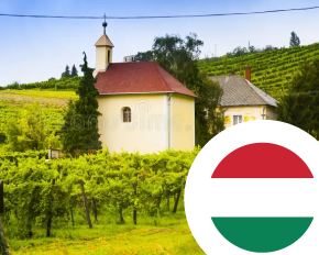 Bild für Kategorie Wein aus Ungarn
