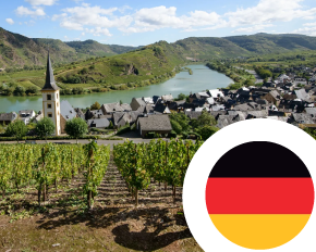 Bild für Kategorie Wein aus Deutschland