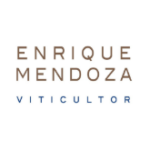 Bild für Kategorie Bodegas Enrique Mendoza