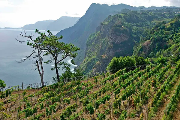 Madeira