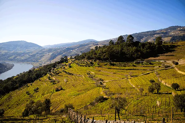 Porto Douro