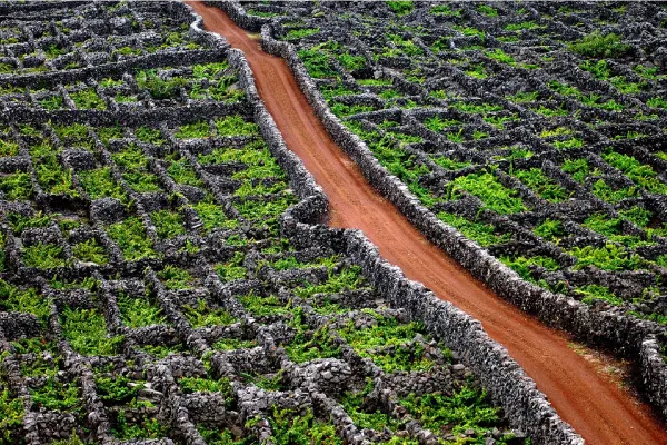 Azores