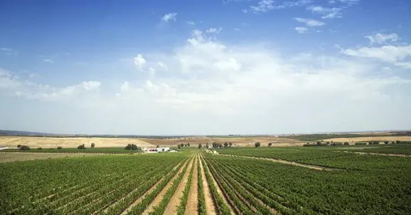 Alentejo